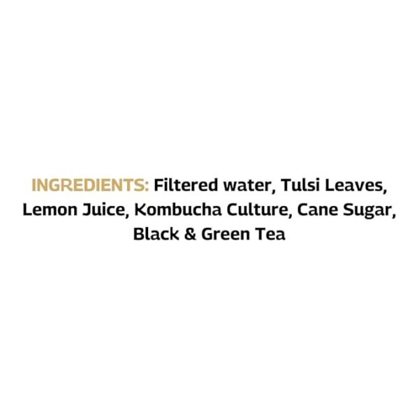 Tulsi Lemon - SBOOCH Kombucha - Indian Sparkling Kombucha Tea | Gut-Friendly Beverage | Antioxidant-Rich Zero Preservatives | Alcohol-Free Fermented Tea | Vegan & Gluten-Free | FLVR.in